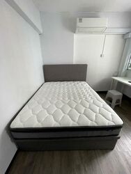 Blk 903 TAMPINES PALMSVILLE (Tampines), HDB 5 Rooms #528324141